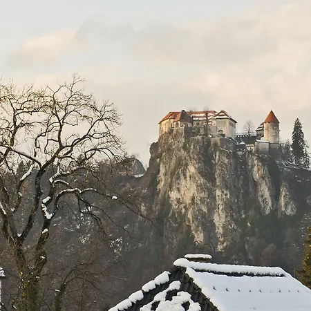 Vila Lipa Bled Exterior photo
